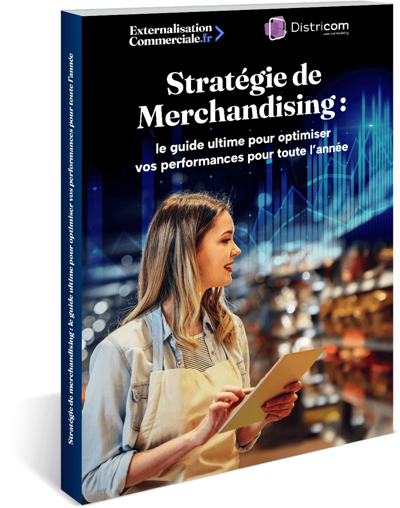 mockup-Ebook-externalisationcommerciale-2